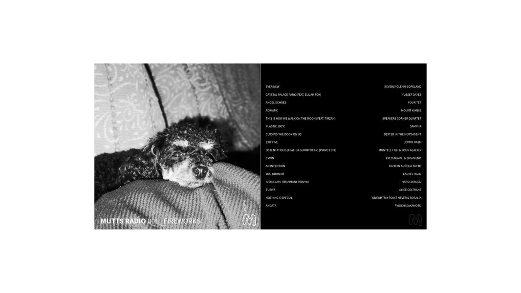 The MUTTS Guide to Firework Season