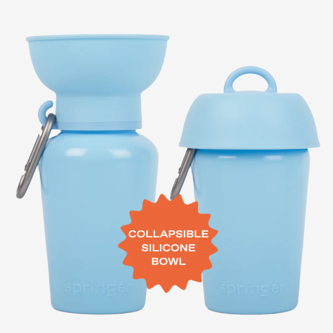 Flip Water Bottle - Sky Blue