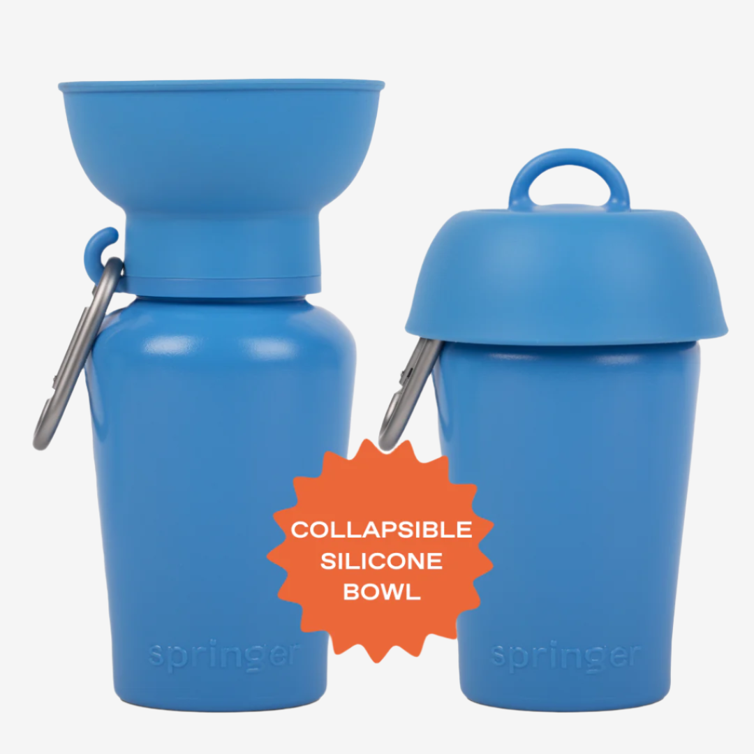 Flip Water Bottle - Blueberry