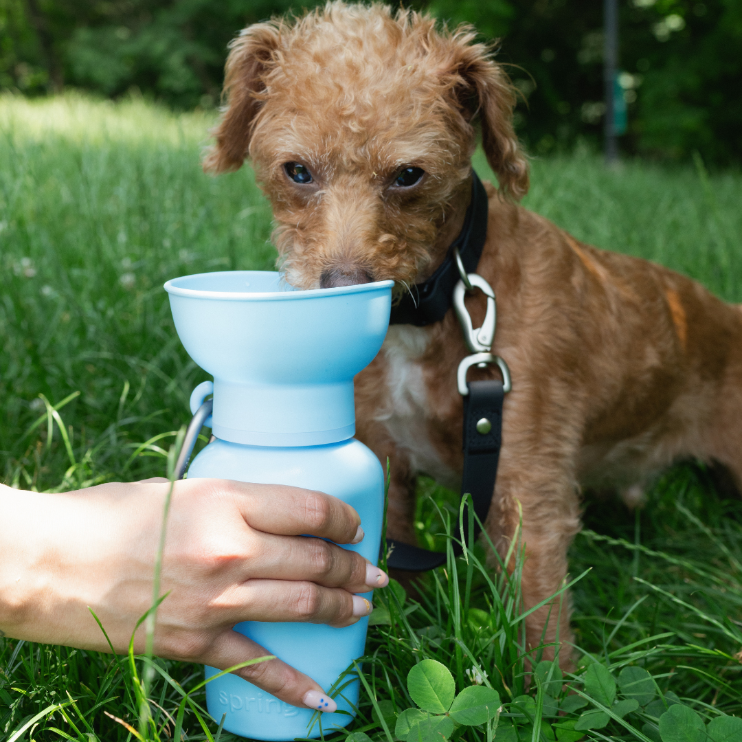 Flip Water Bottle - Sky Blue