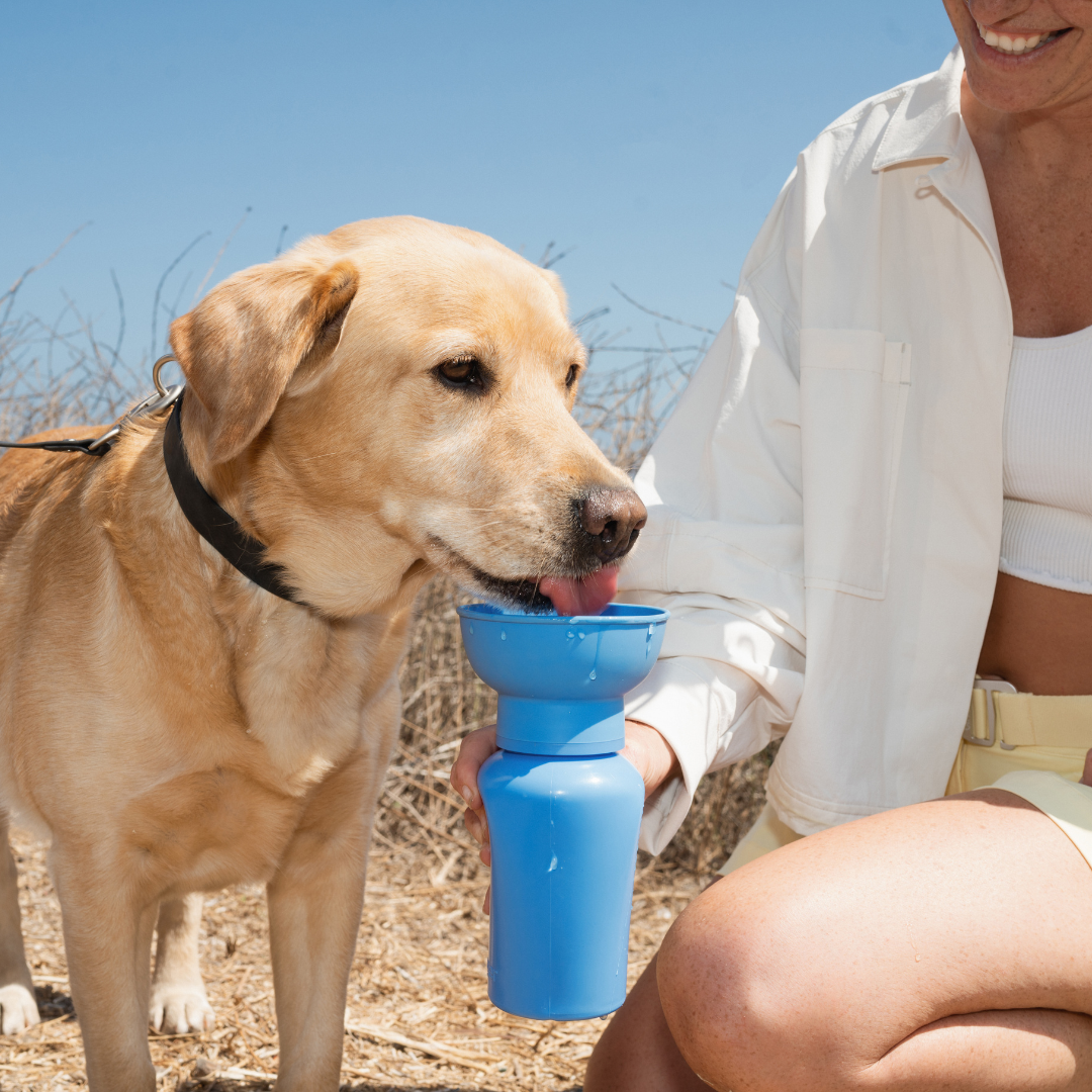 Flip Water Bottle - Blueberry