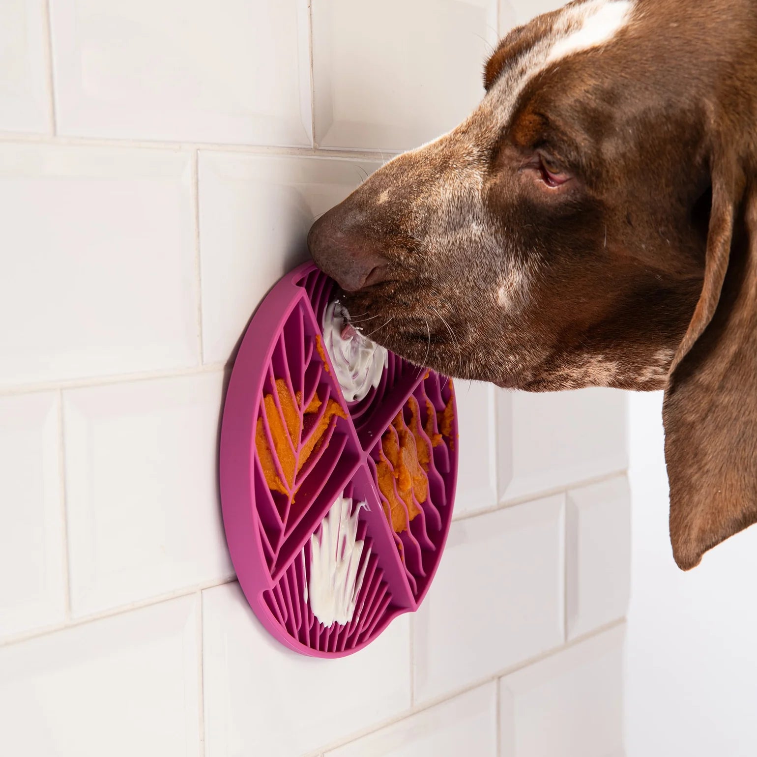 Paradise Calming Lick Mat