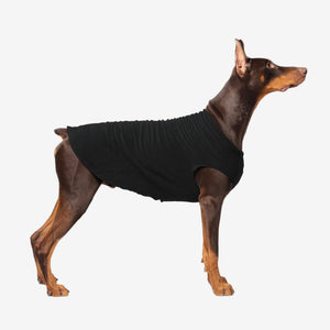 Dog wearing a black sweater on a white background