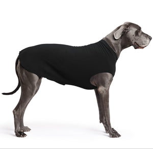 Dog wearing a black sweater on a white background