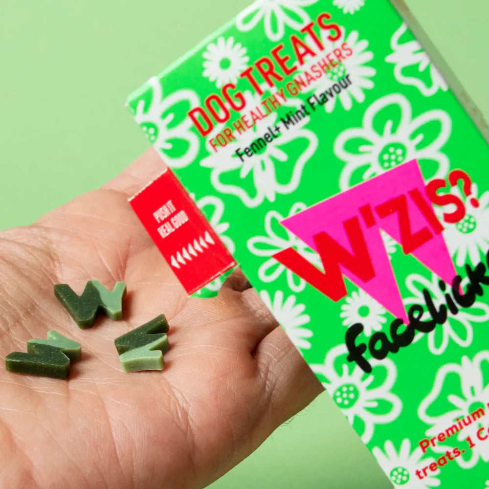 Hand holding three W'zis vegan dog treats which have been poured from the green box.