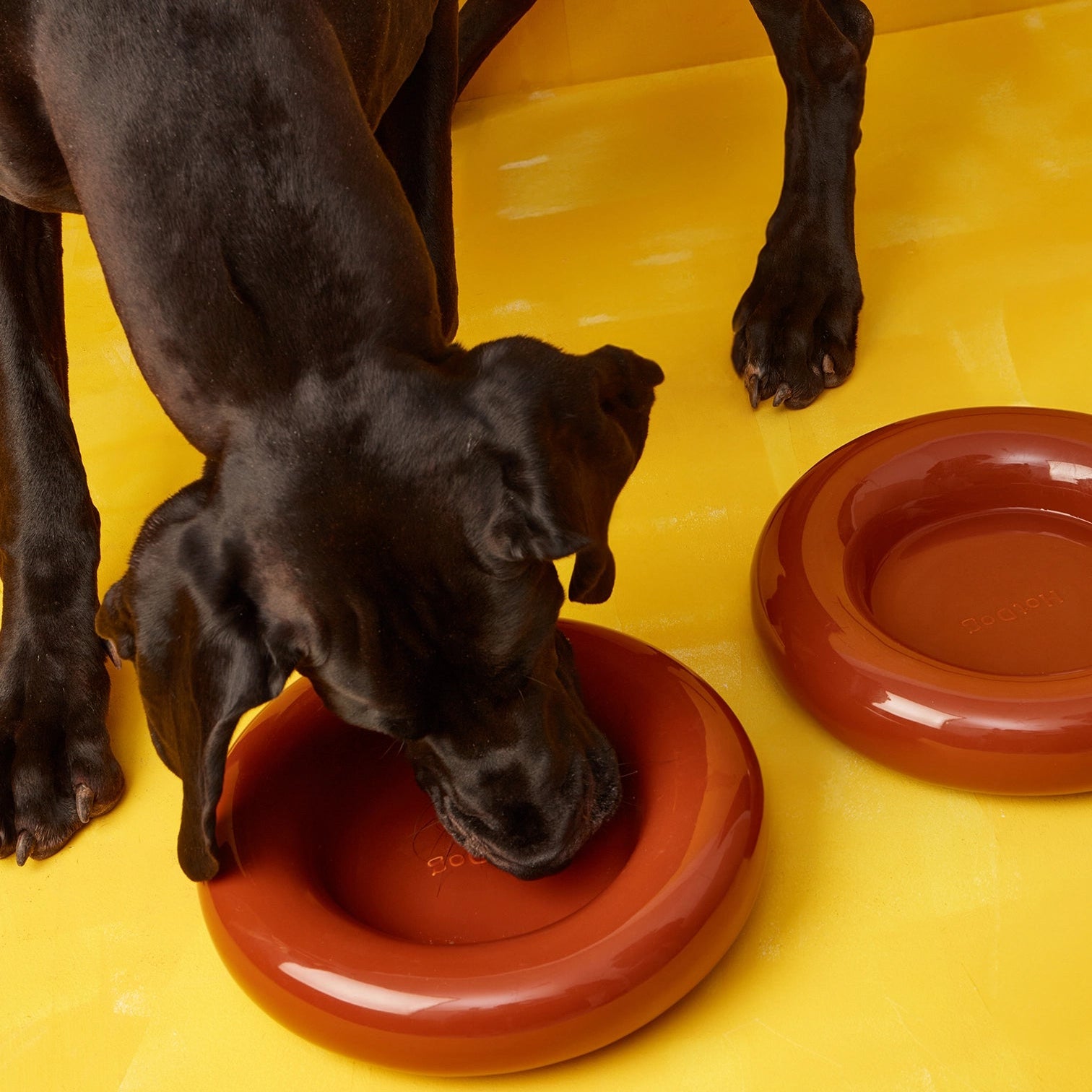 Black dog drinking from brown ceramic bowls on a yellow floor.