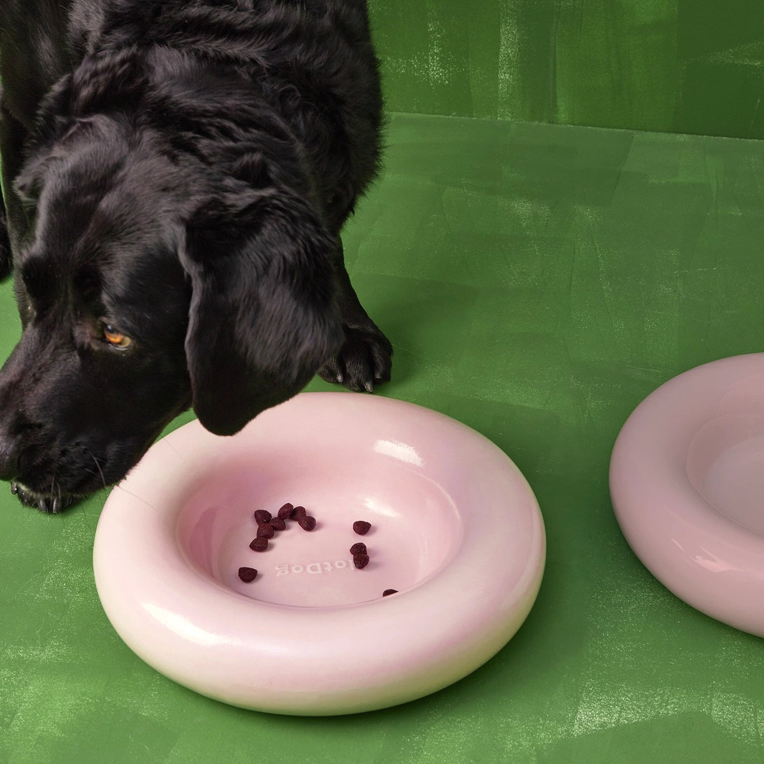 Black dog looking at a pink pet bowl with treats on a green surface