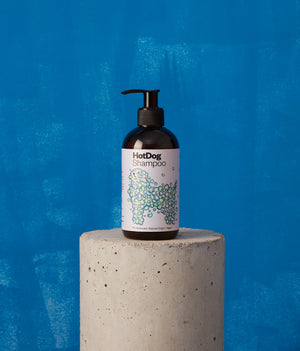 Bottle of HotDog Shampoo on a concrete block with a blue background