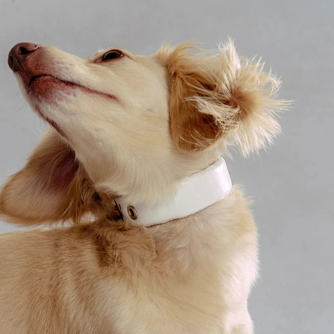 Puffed Leather Collar - Bone