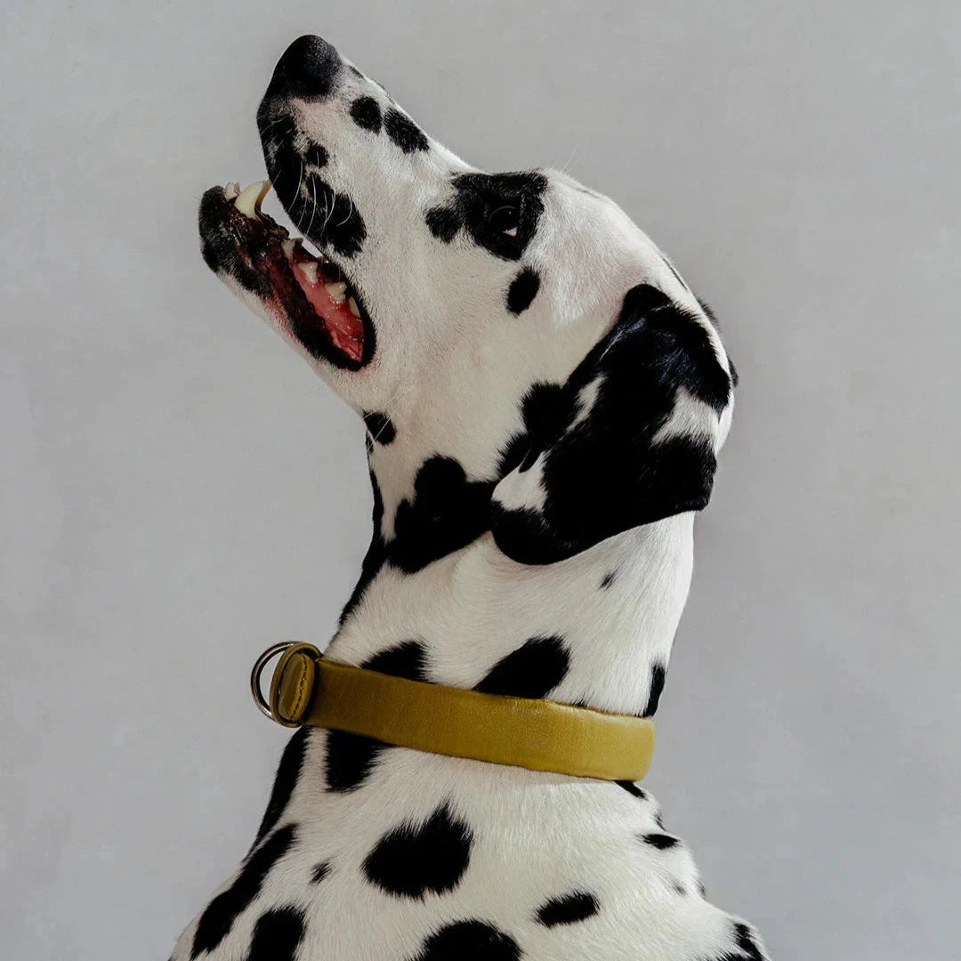 Puffed Leather Collar - Moss
