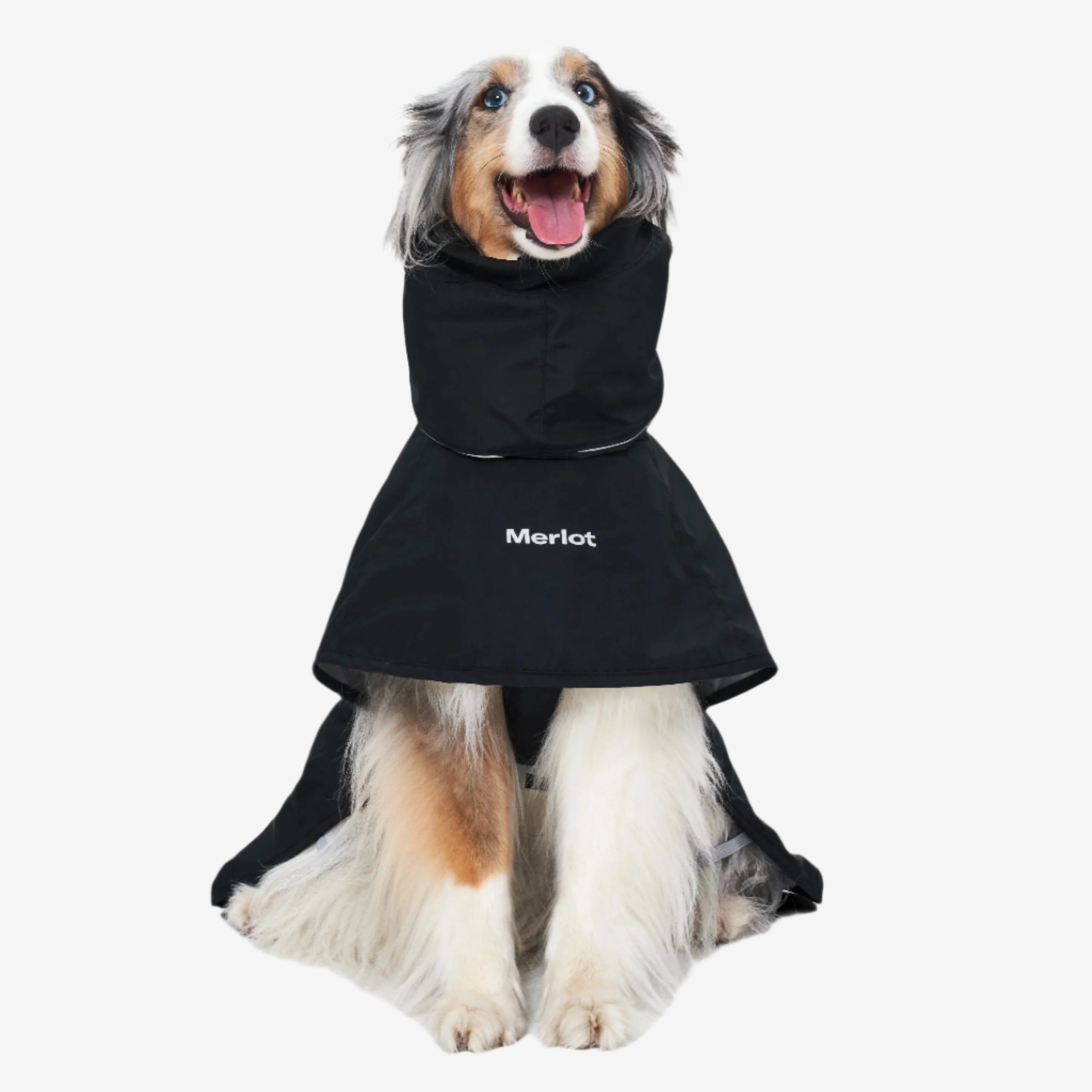 Ain 4 Coat - Black