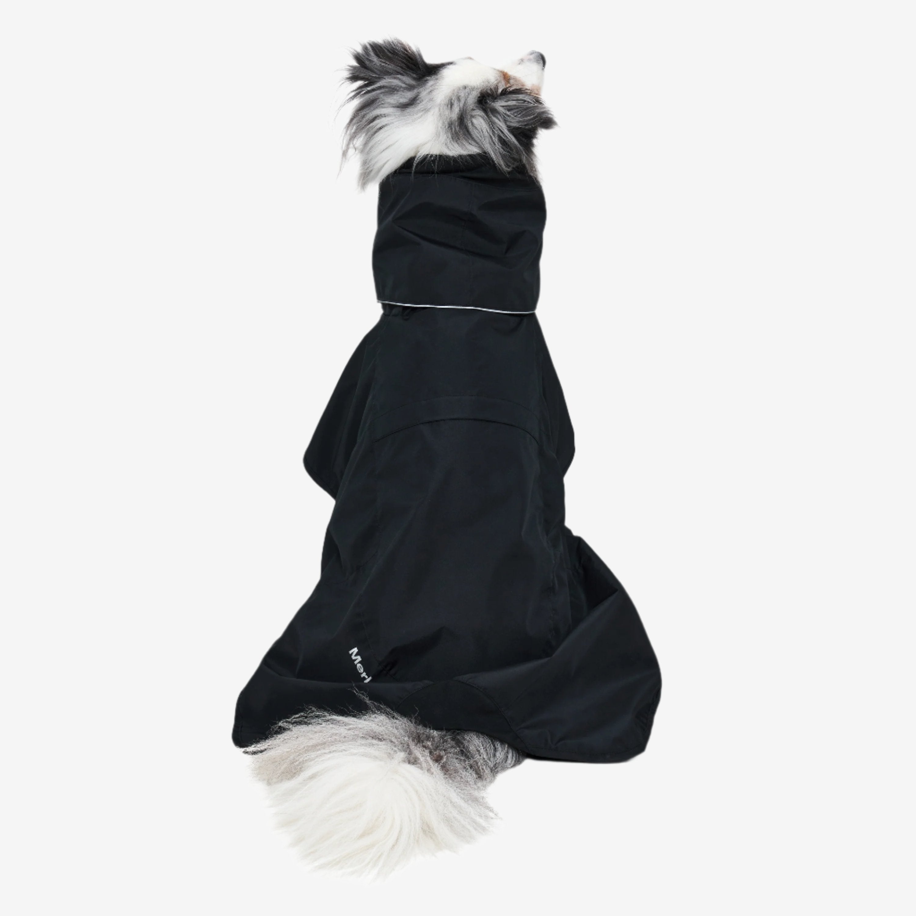 dog sitting facing away from the camera wearing a black raincoat with the brand name merlot