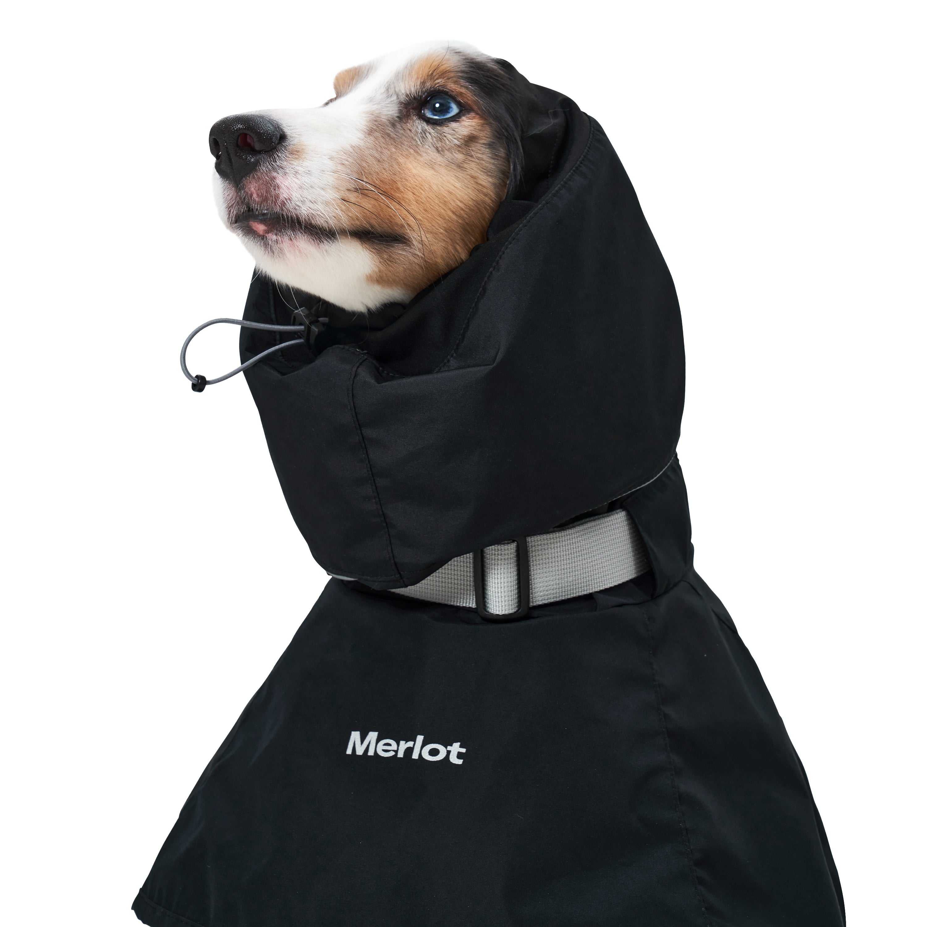 dog wearing black raincoat by brand merlot