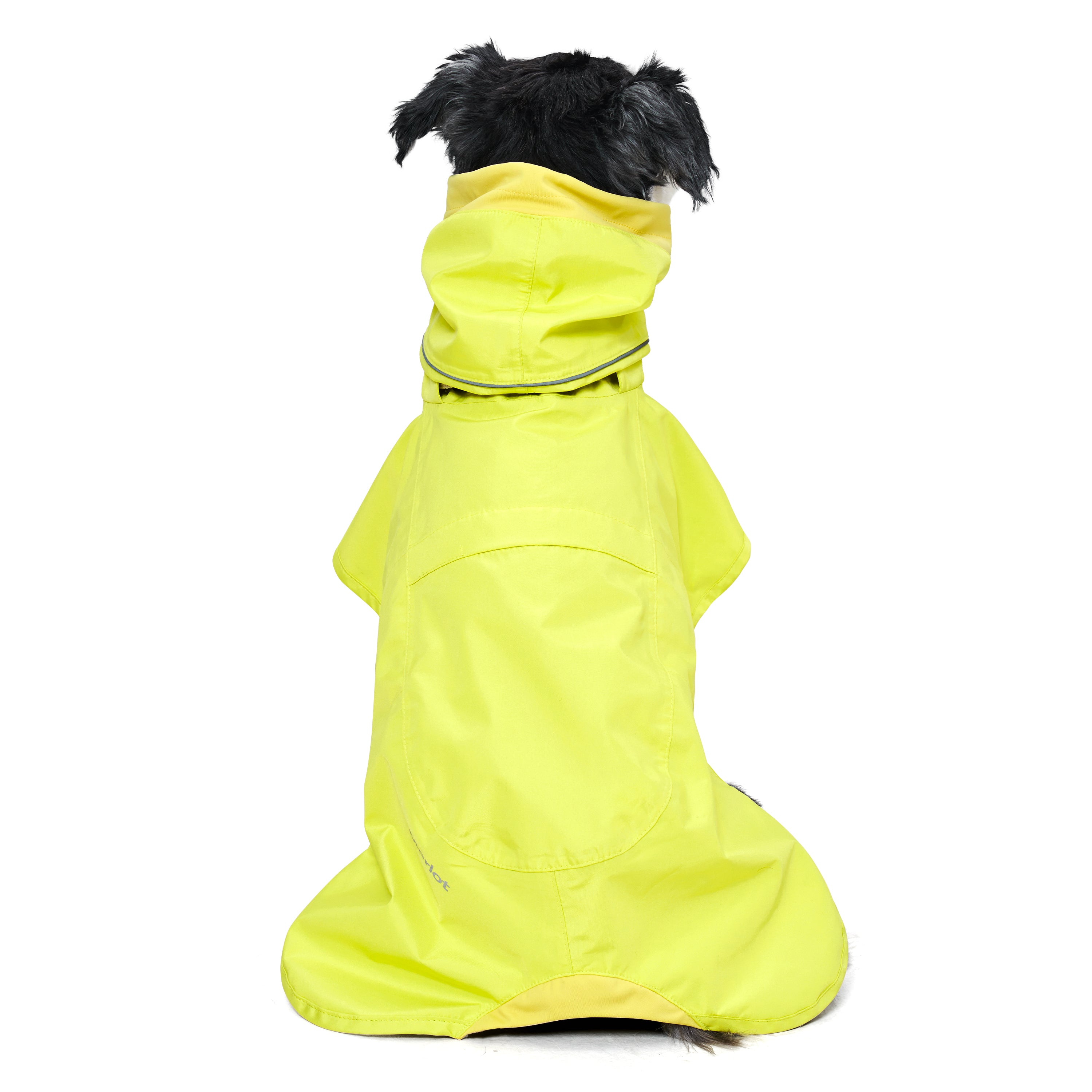 back of a dog wearing a raincoat in yellow