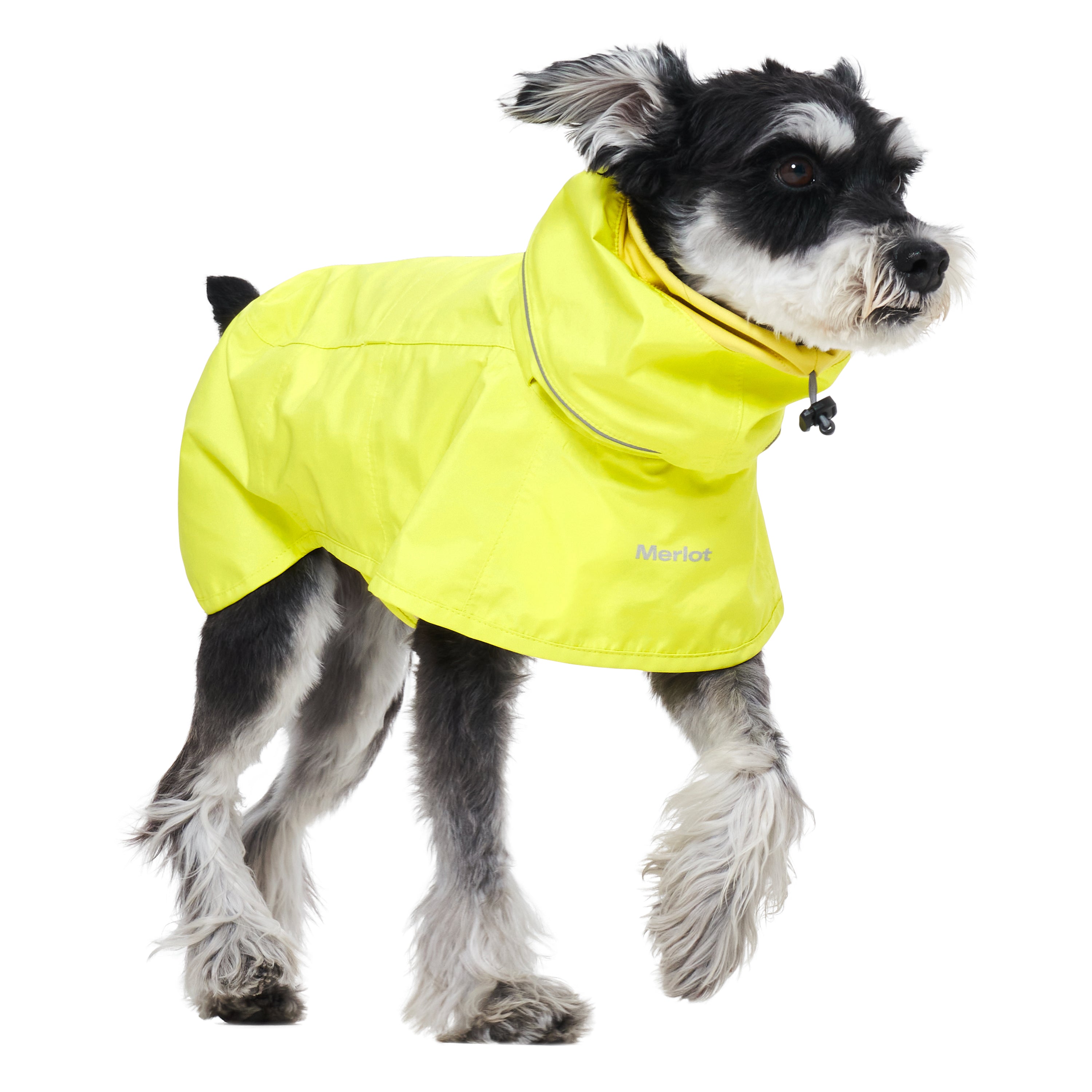 waterproof dog coat