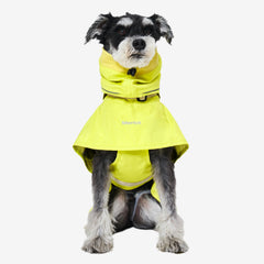 Ain 4 Coat - Lemon