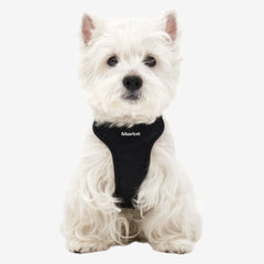 Ardor Harness - Black