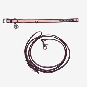 Dog collar and leash set on a light gray background