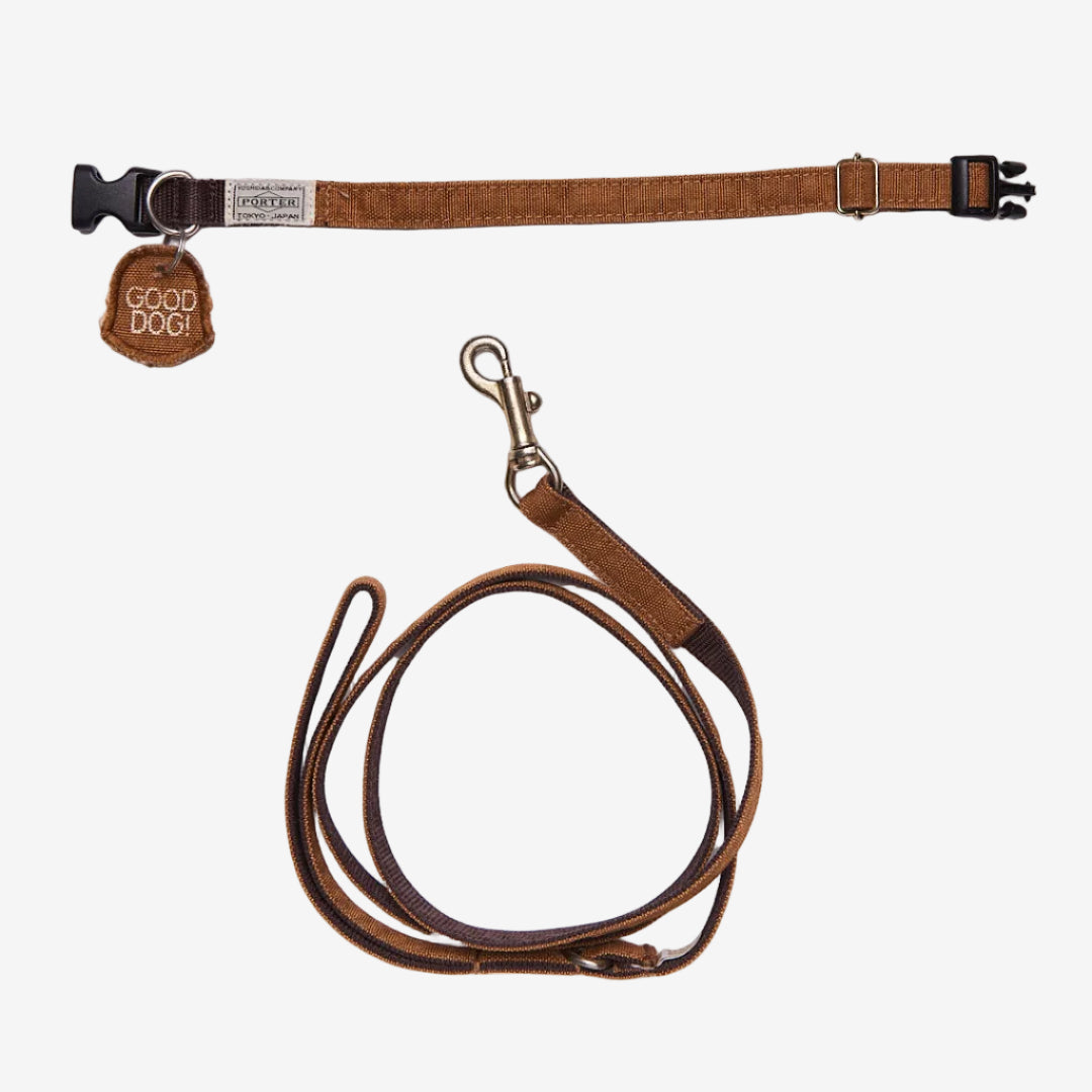 Brown dog collar and leash set on a light gray background