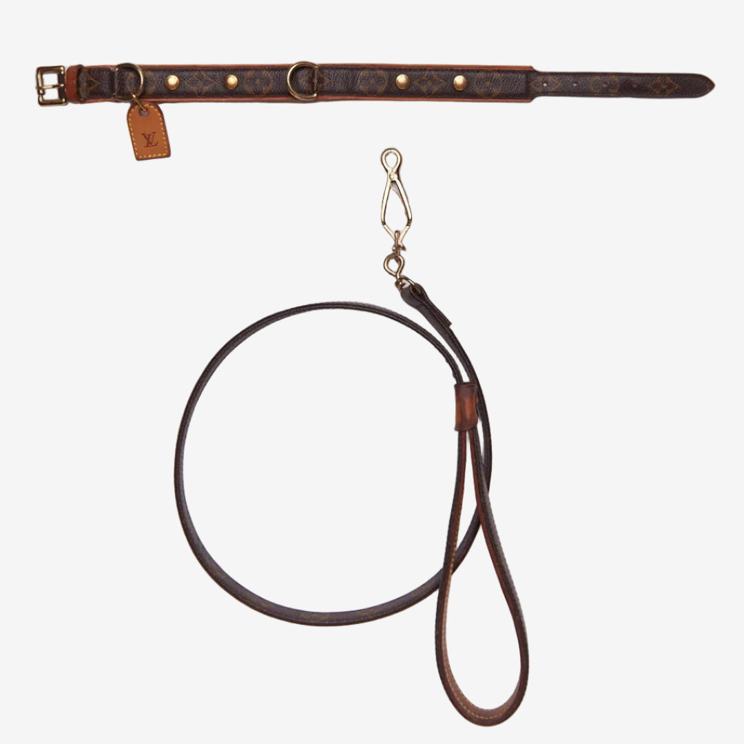 Brown leather dog collar and leash set on a light gray background