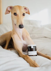 Sunshine Snoozes Natural Soy Wax Candle