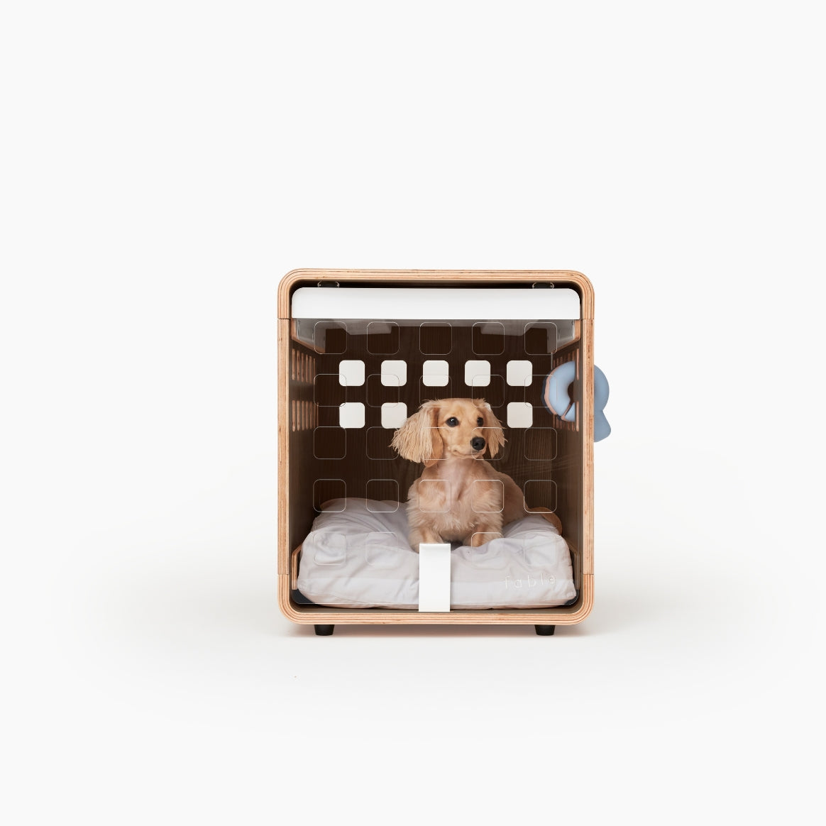 Dog in a modern pet crate with a white background
