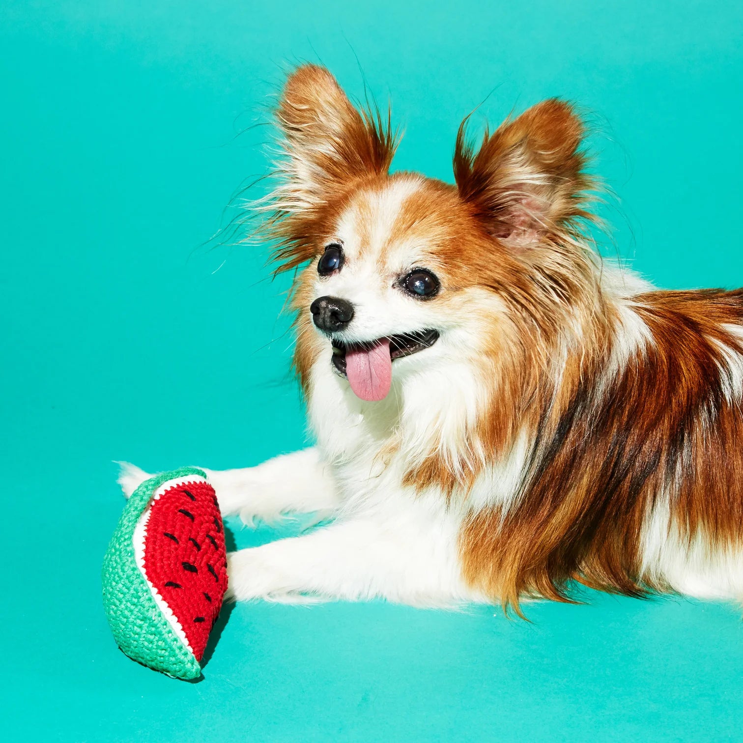 Hand Crochet Watermelon Dog Toy