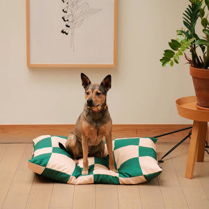 dog sitting on green check dog bed in stylish home