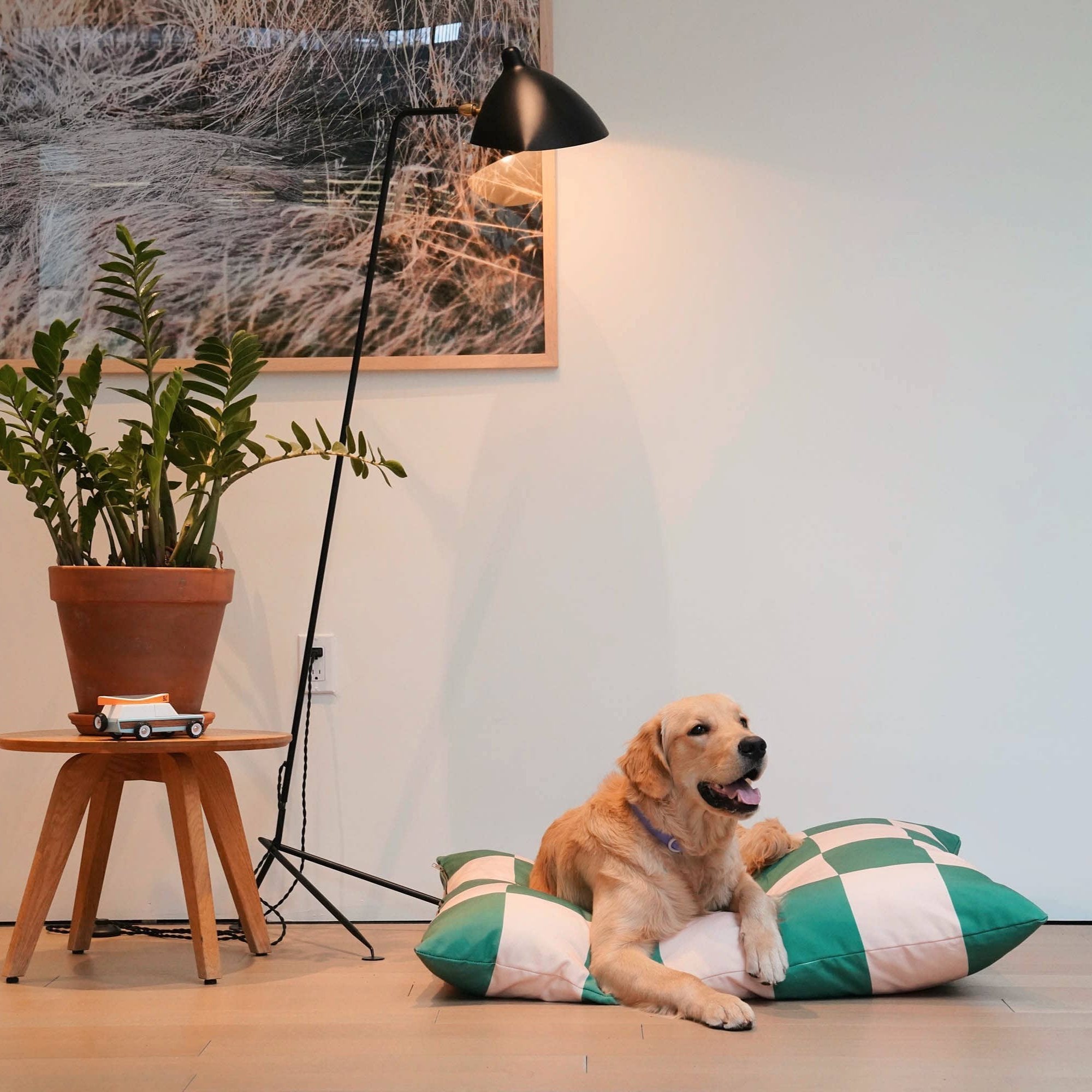 cute golden dog relaxing on green and cream check cushion bed next to plant and stylish table painting and lamp