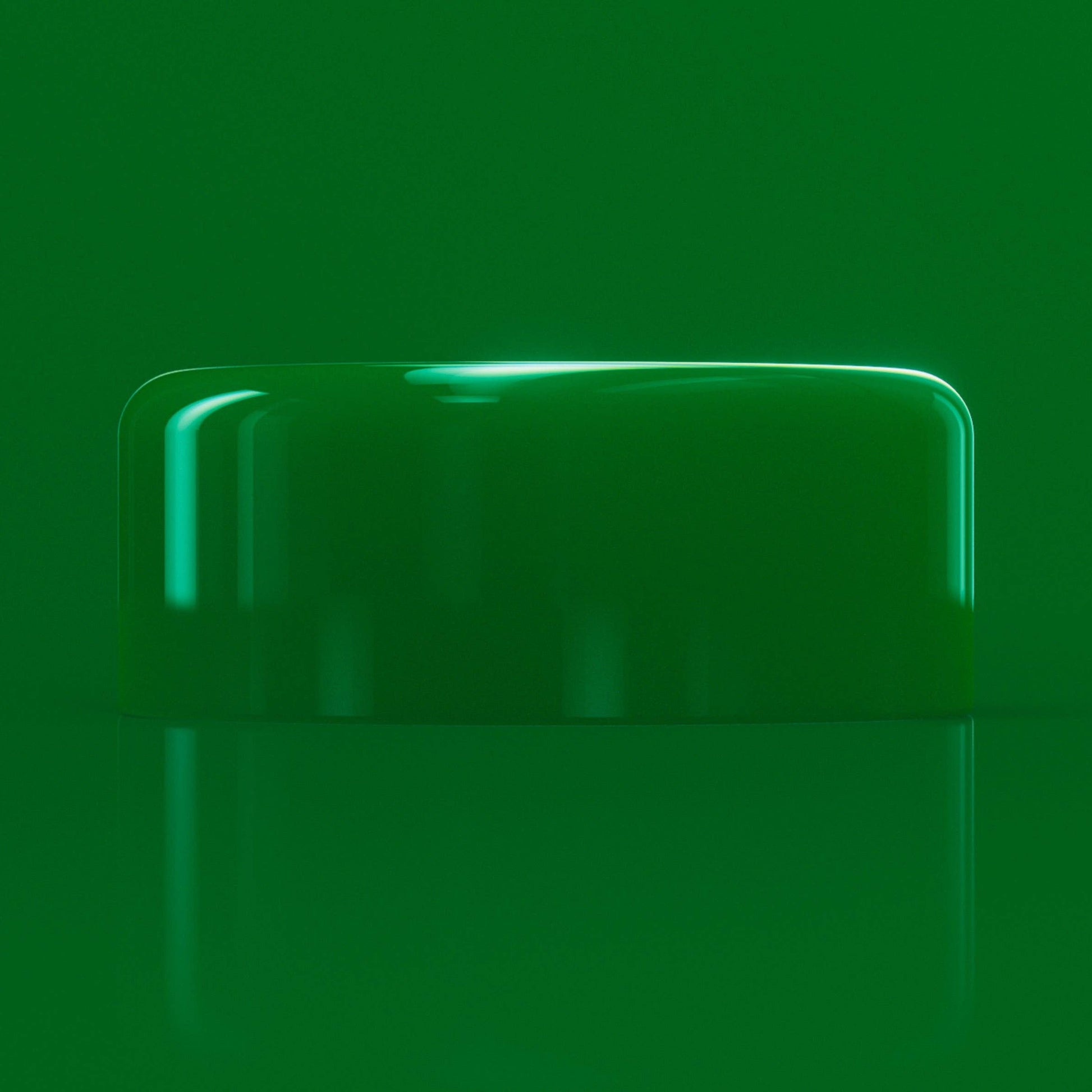 barkers dog bowl green