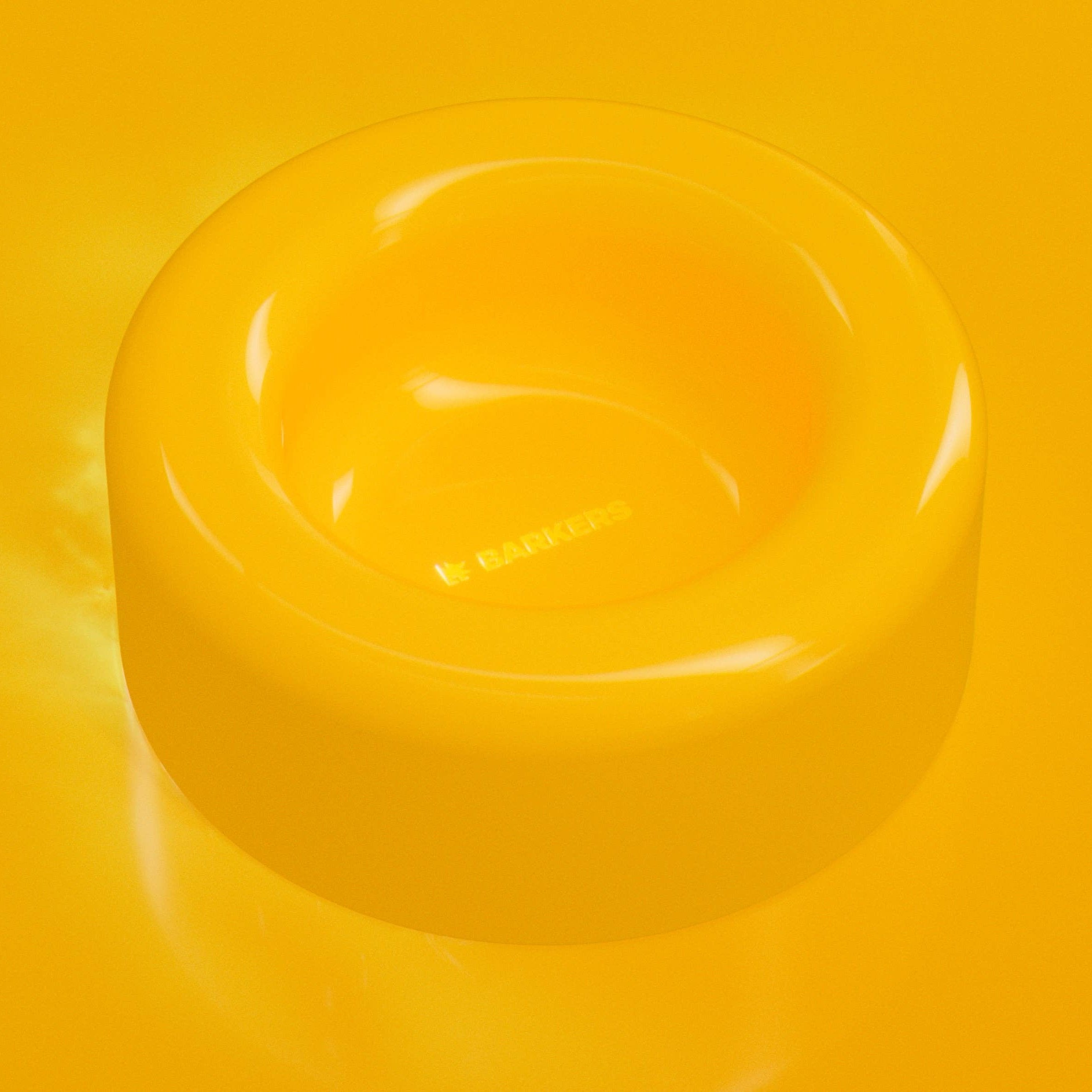 barkers dog bowl yellow
