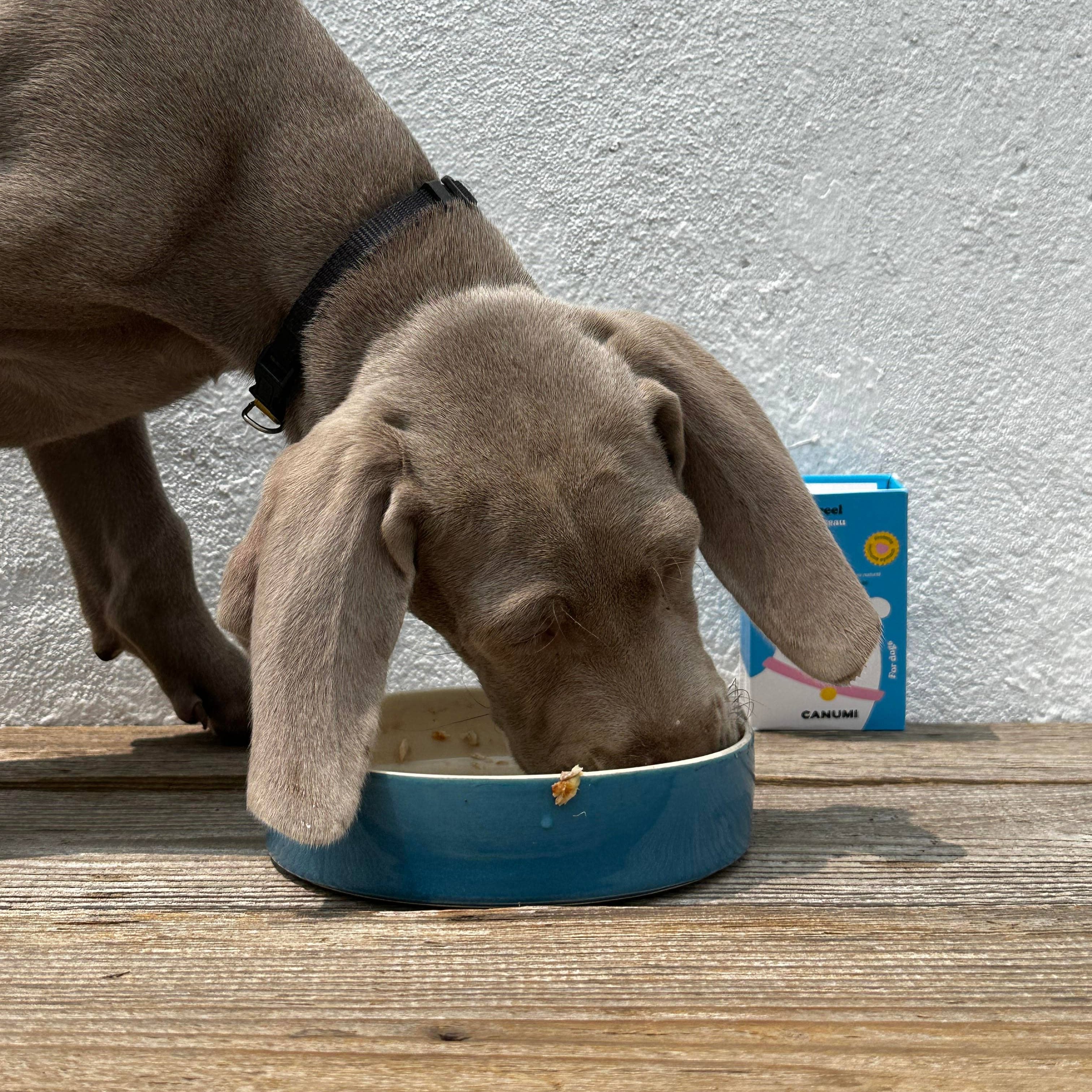 Canned Fish Food Topper - Light Tuna Belly
