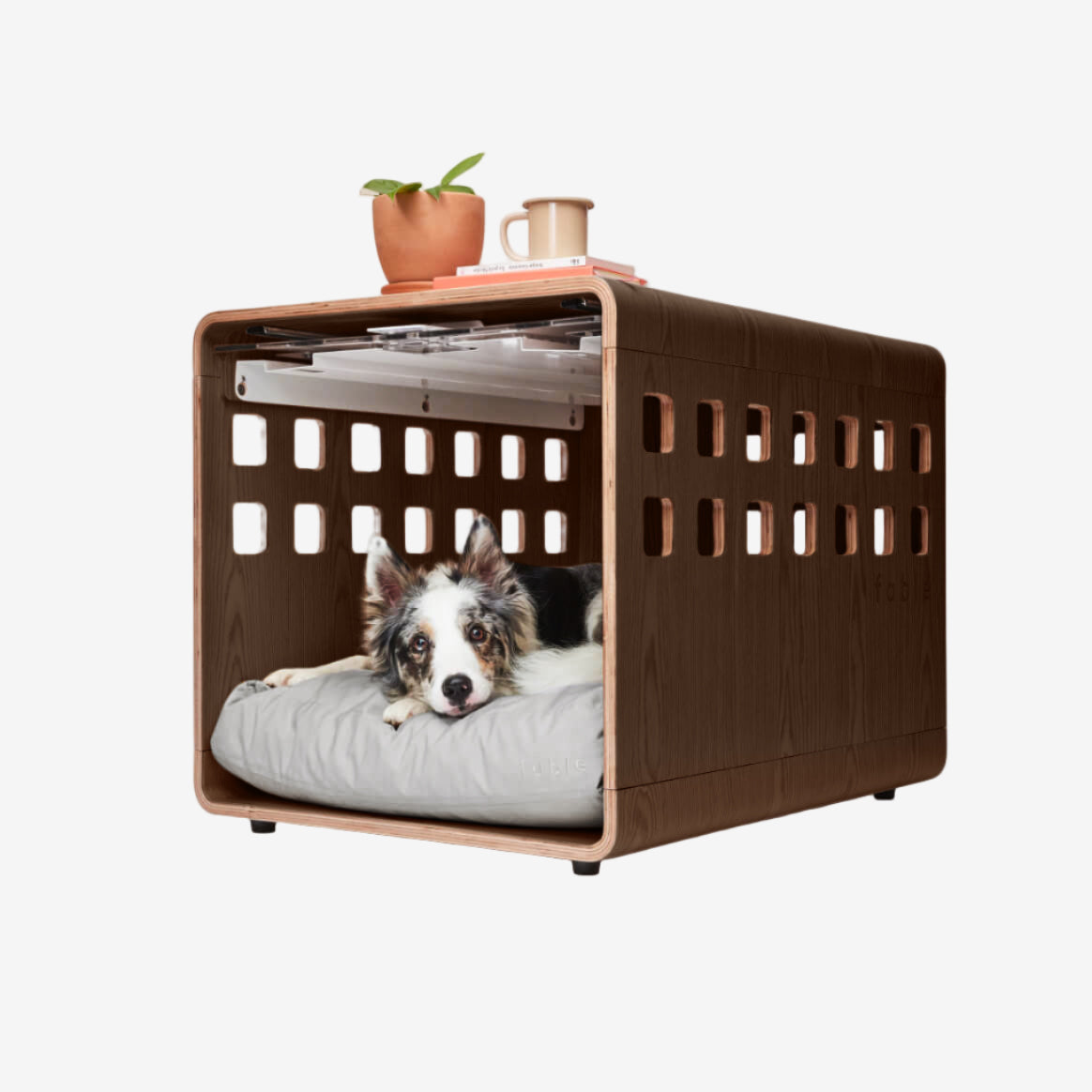 Dog lying on a cushion inside a modern pet crate with a white background