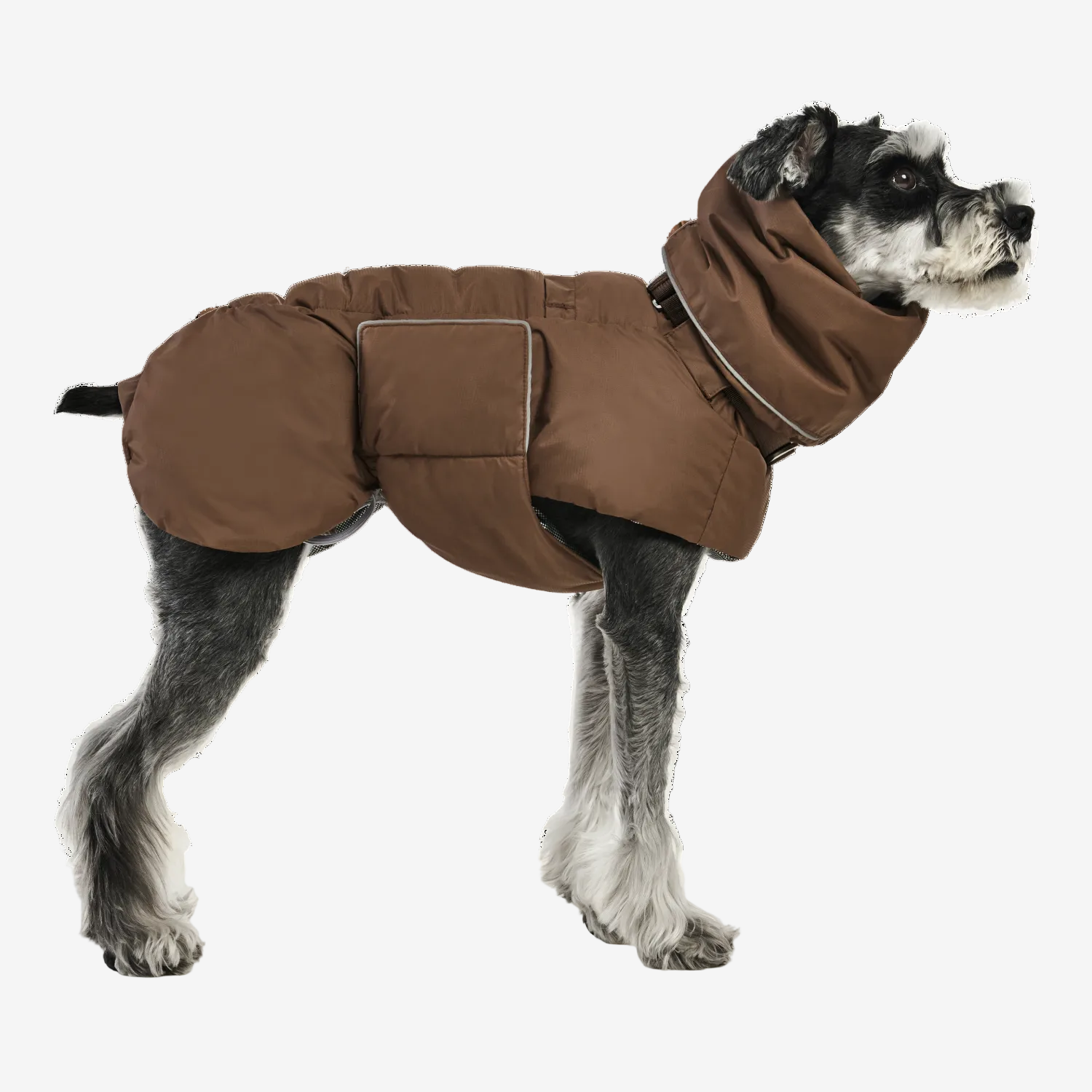 Dog wearing a brown coat on a white background
