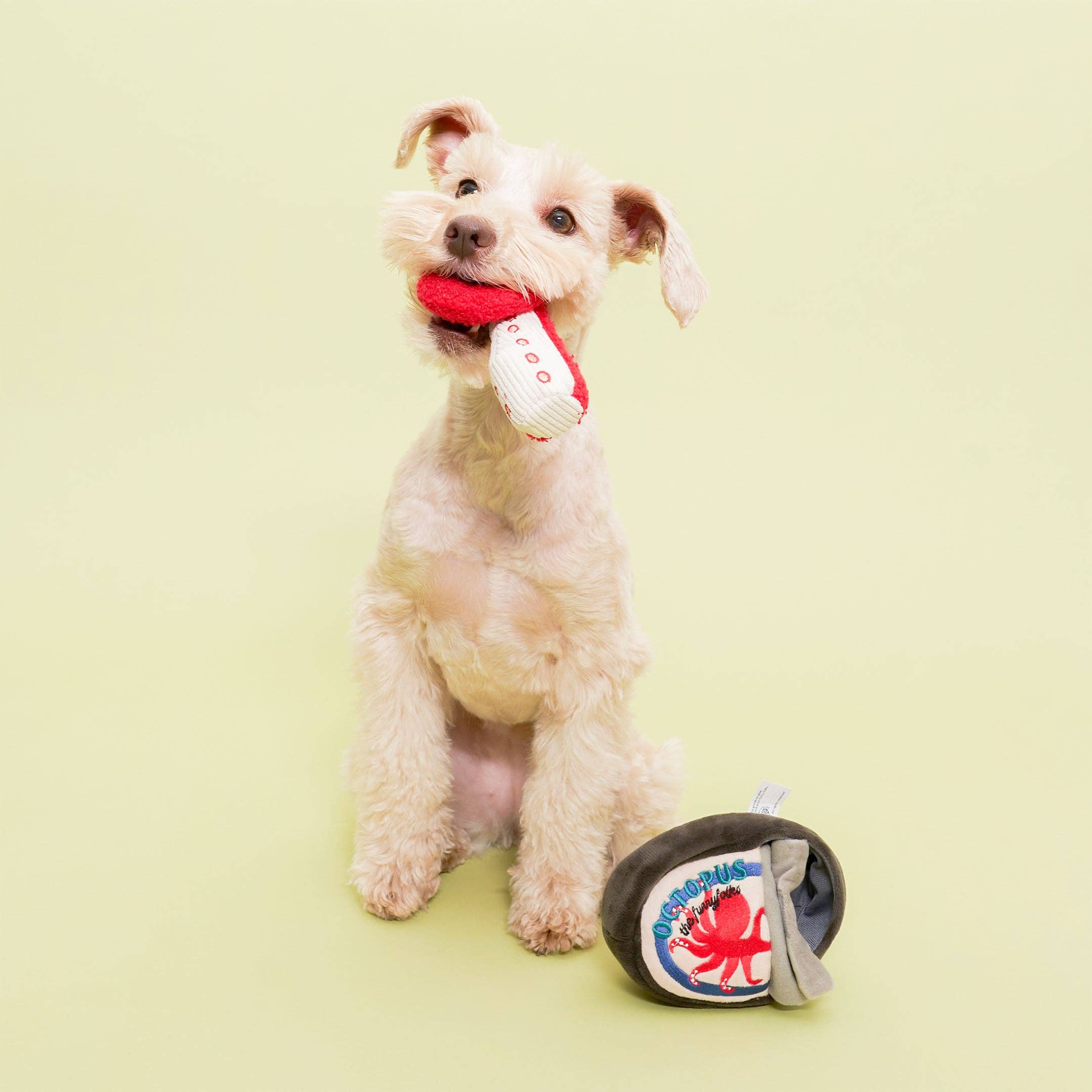 A white fluffy dog holding the octopus leg snuffle toy by the furryfolks in its mouth.