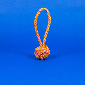 Brightly coloured orange, yellow and pink rope knot toy with loop handle, for dogs to chew and chase against a blue background.