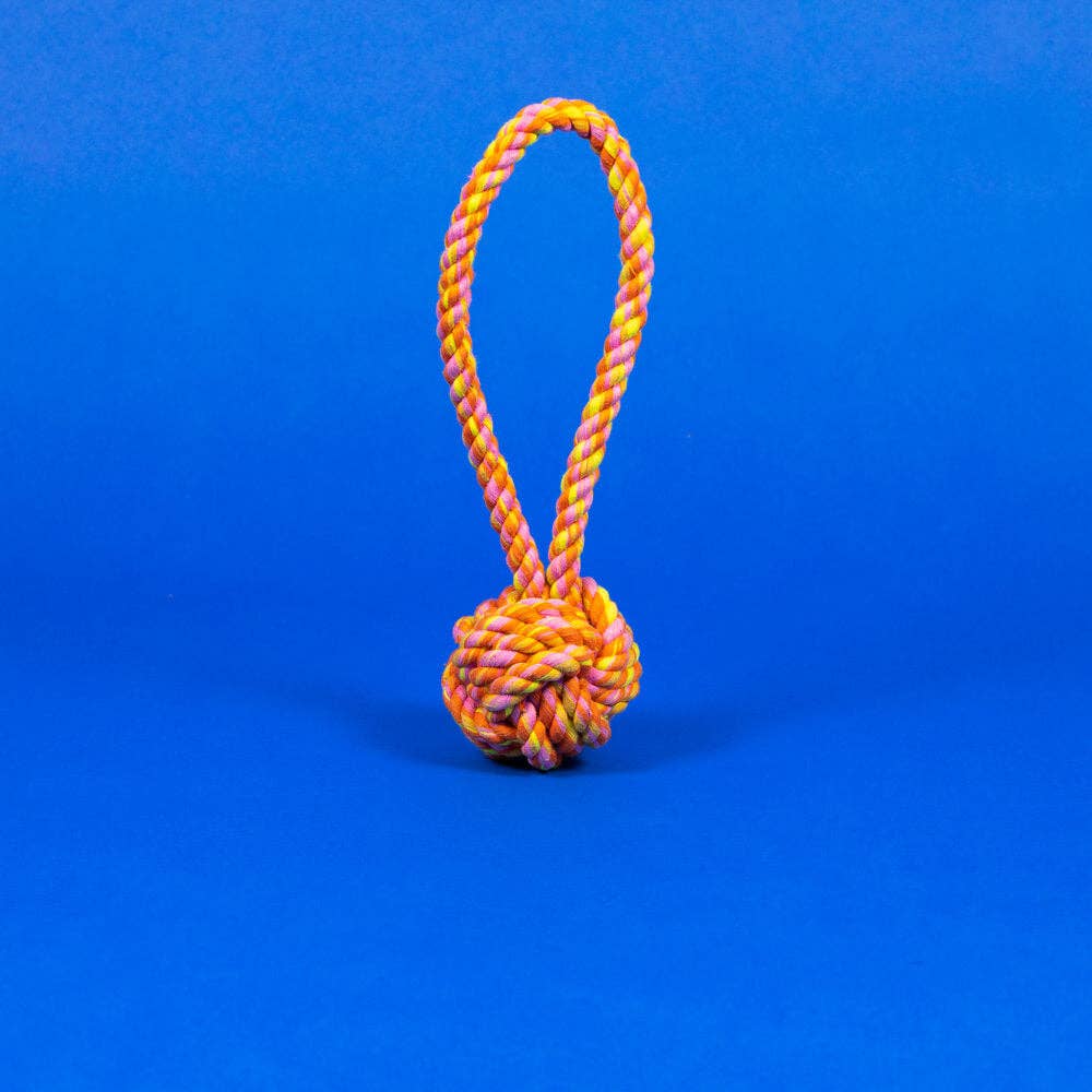 Brightly coloured orange, yellow and pink rope knot toy with loop handle, for dogs to chew and chase against a blue background.