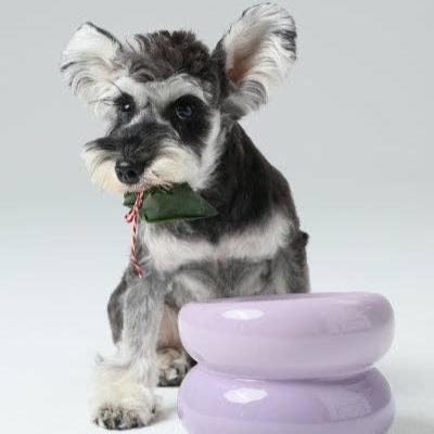 A small schnauzer with a green pouch in its mouth sits beside a light purple dog bowl, displaying a playful expression.