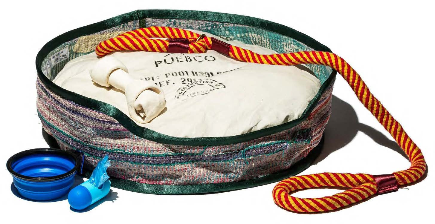 Dog bed with a leash, bowl, and toy on a white background
