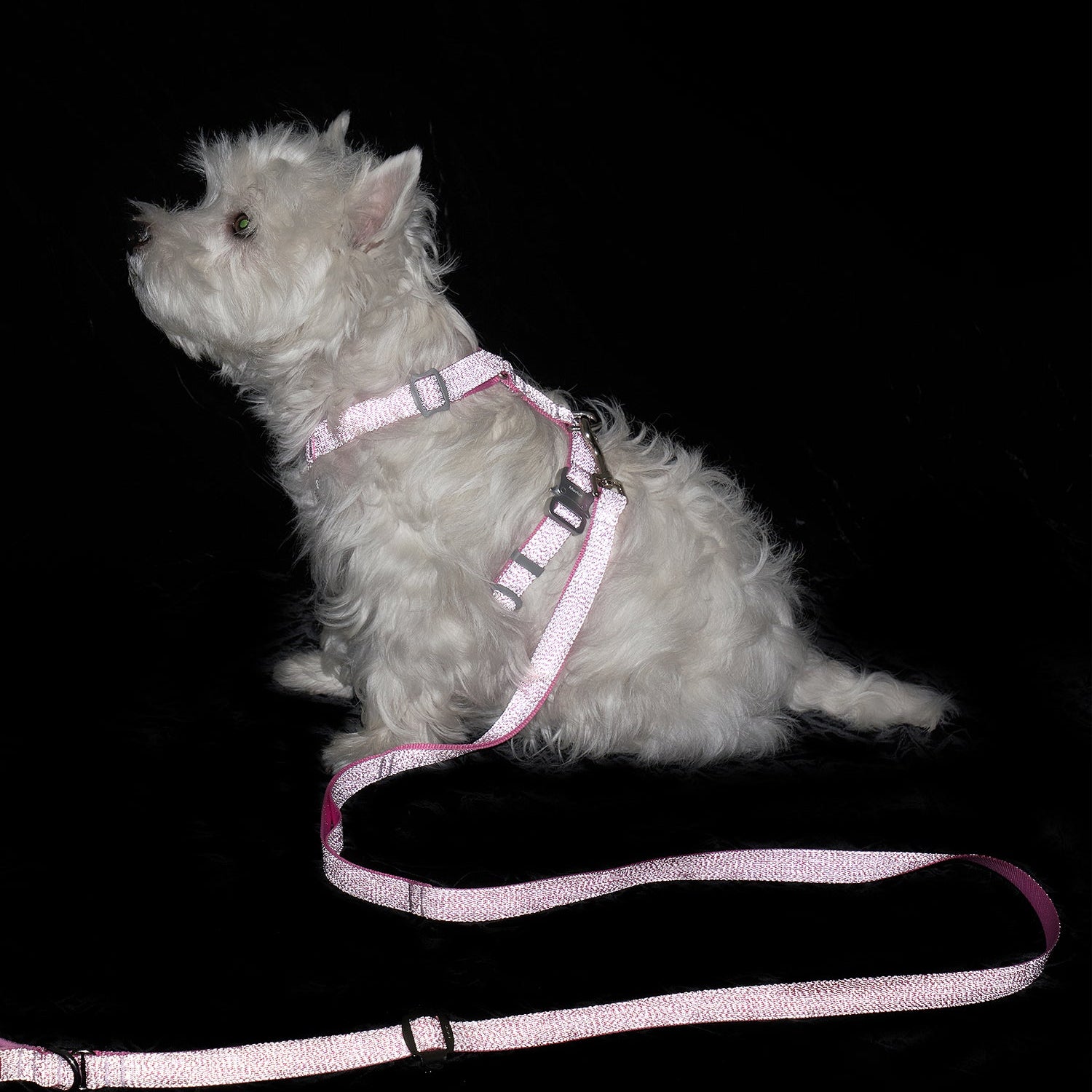 Holy H Harness - Pink