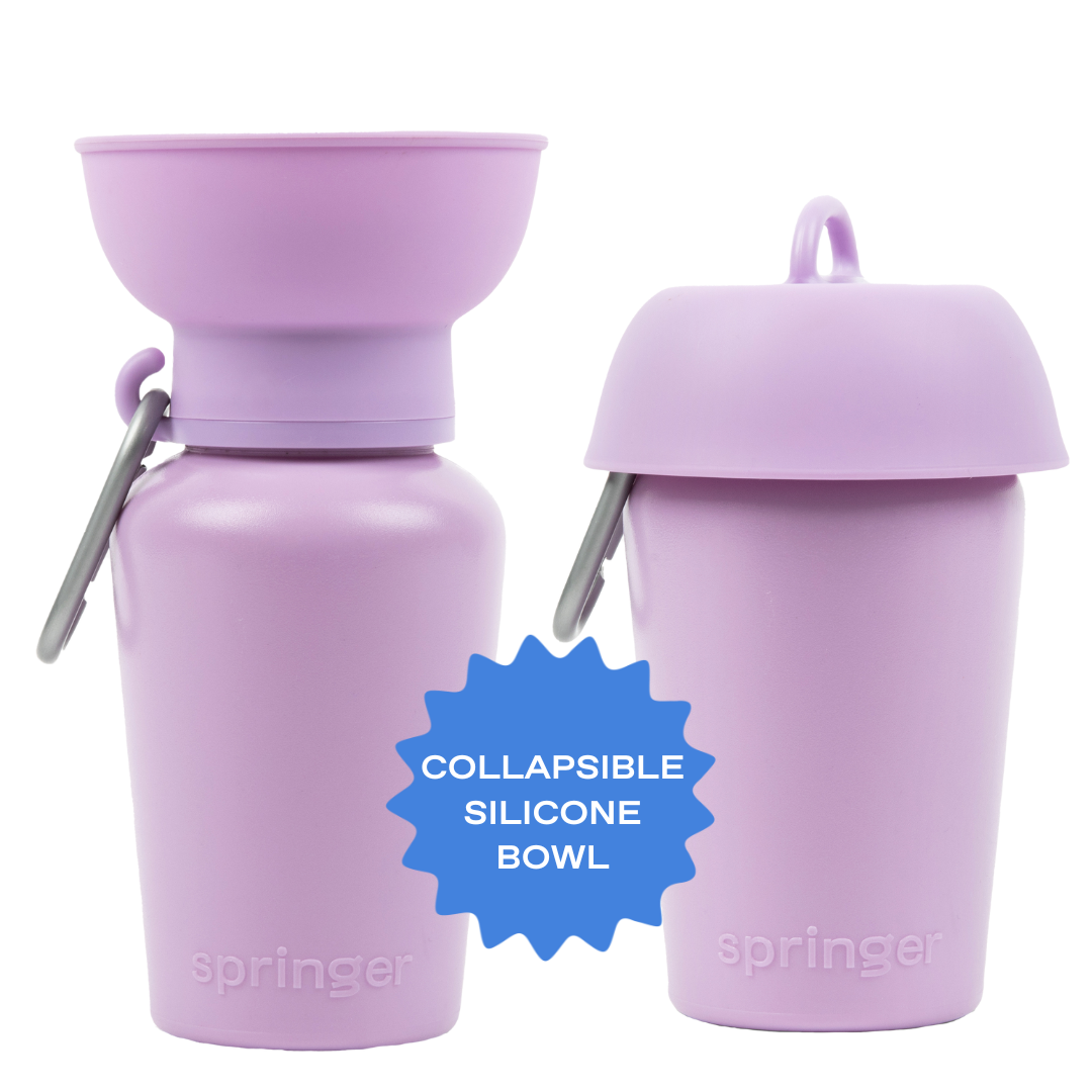 Two lilac purple silicone containers with a collapsible bowl on one. A blue star label reads "Collapsible Silicone Bowl."