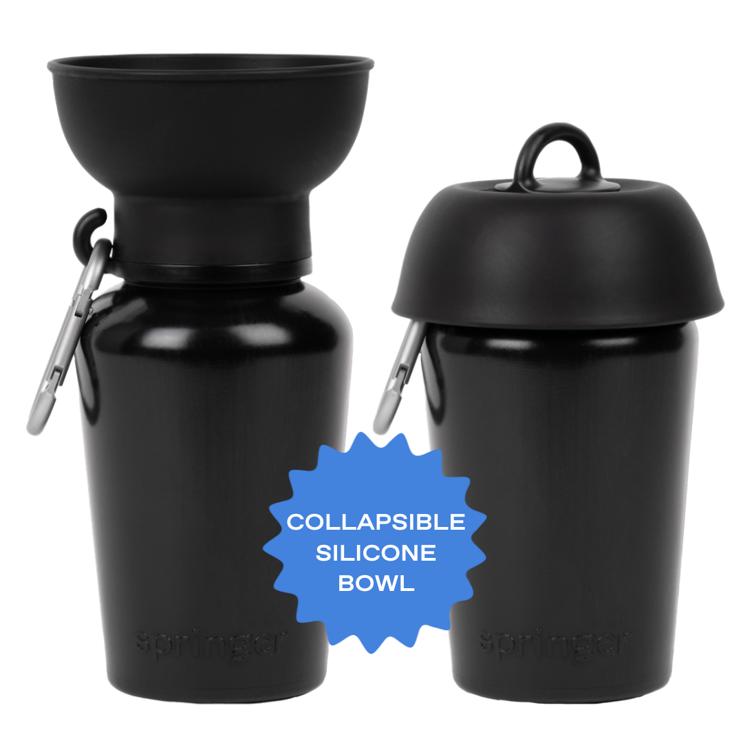 Two black silicone containers with a collapsible bowl on one. A blue star label reads "Collapsible Silicone Bowl."