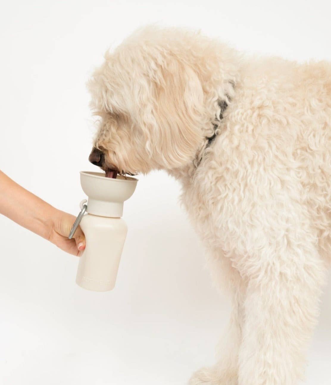 A fluffy white dog licks from a sleek, beige dog bowl held by a hand against a white background.