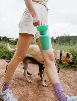 A person in shorts holds a green water bottle while walking two dogs on a dirt path surrounded by grass.