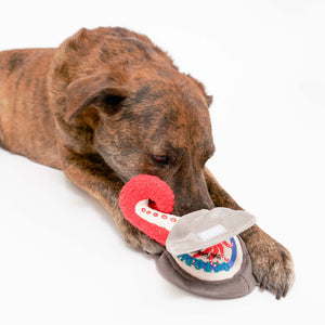 A brown brindle dog plays with a colorful plush toy, featuring a stylized octopus and bright accents, on a white background.
