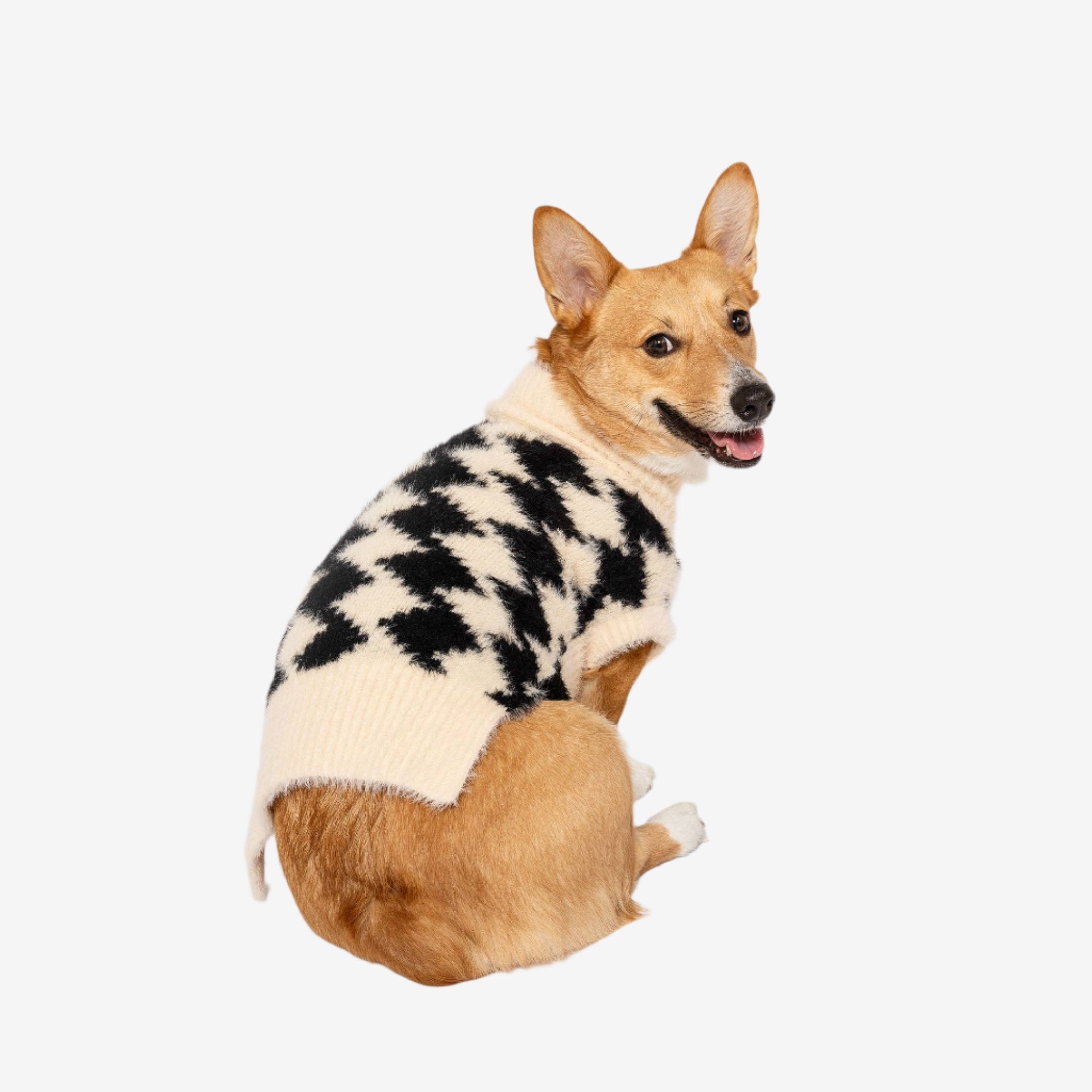 A smiling corgi sits turned slightly to the side, wearing a stylish black and white houndstooth-patterned sweater by the furryfolks.