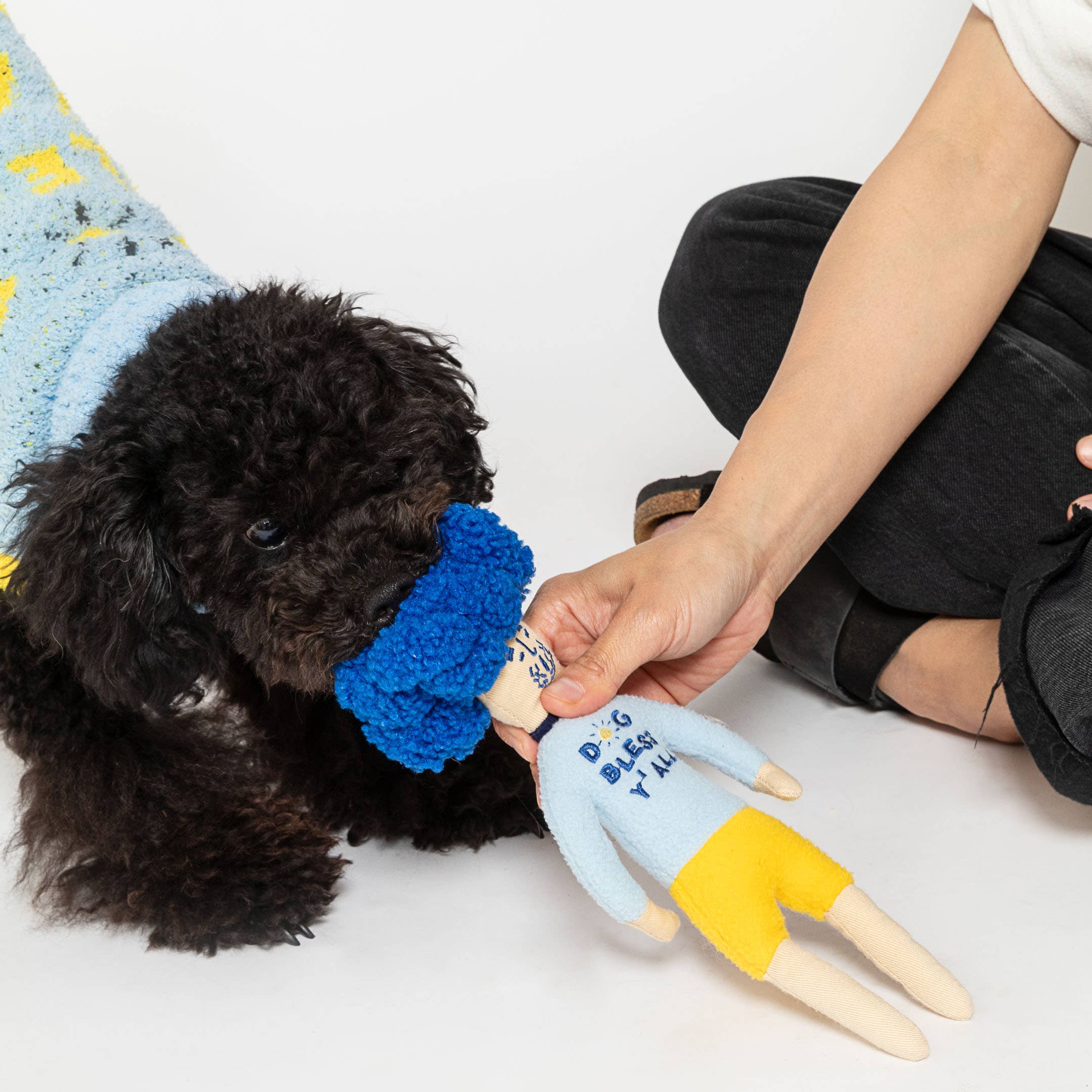 A black dog in a sweater playfully tugs at a plush toy shaped like a person, as a human hand engages with it.