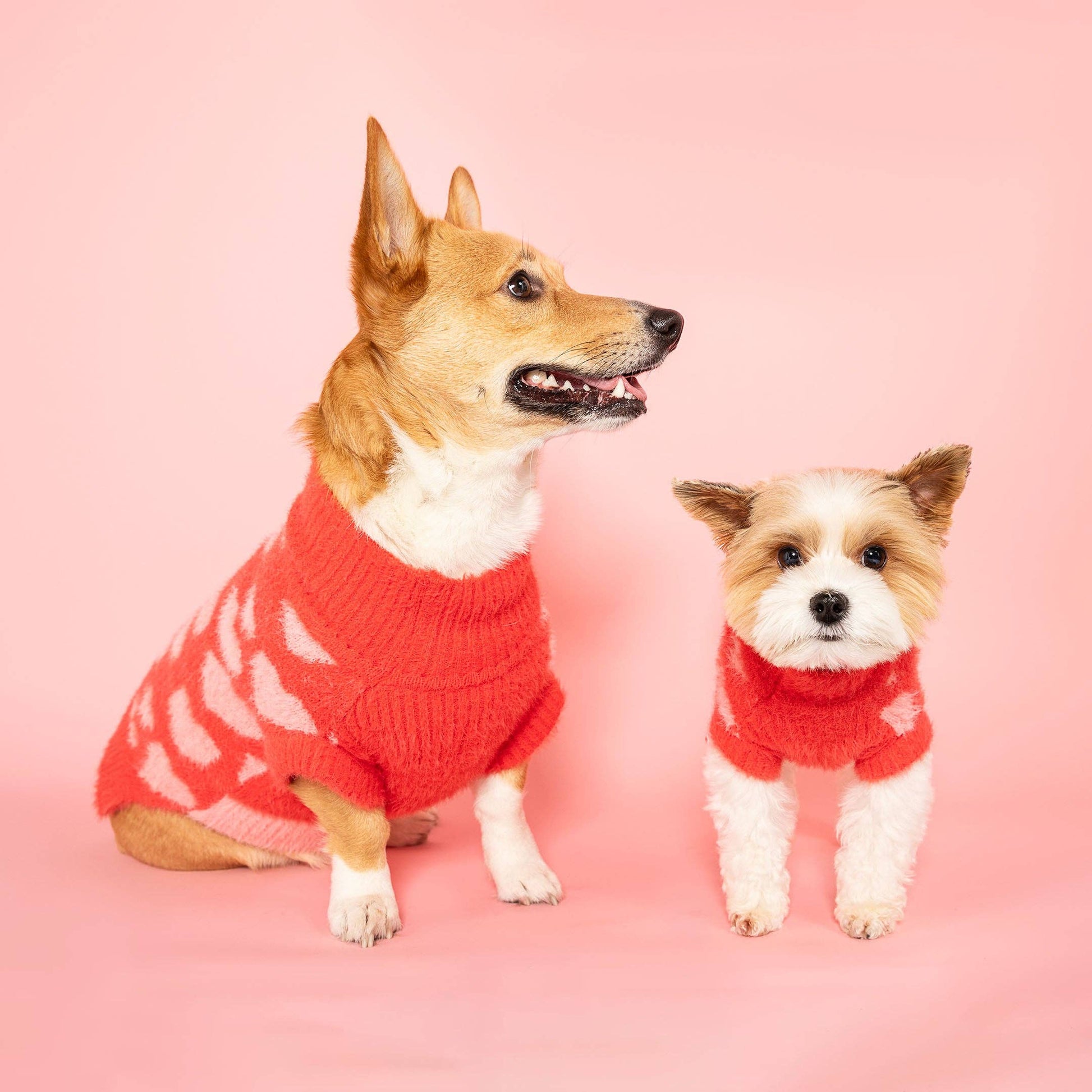 Two adorable dogs wearing matching red sweaters with heart patterns by the furryfolks, sitting side by side against a pink background.