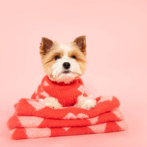 A small dog with fluffy fur wearing a red sweater sits on a soft, folded blanket against a pink background.
