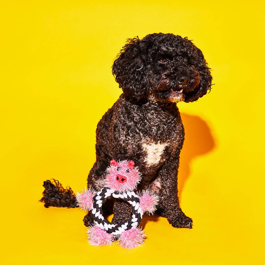 A cute pink rope toy shaped like a pig for playing tug, next to a black fluffy dog, set against a bright yellow background. 